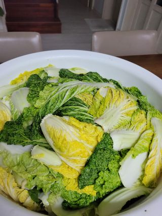 박산숙농부님의 자유주제 · 자유게시판 작성글 사진