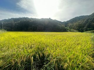 김미현님의 10월 농사 성적 자랑하기 · 참여글 작성글 사진