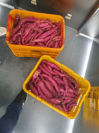 수호리 님의 10월 농사 성적 자랑하기 · 참여글 작성글 사진