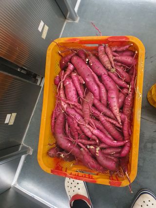 수호리 님의 10월 농사 성적 자랑하기 · 참여글 작성글 사진