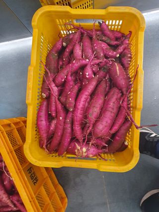 수호리 님의 10월 농사 성적 자랑하기 · 참여글 작성글 사진