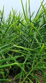 팜모닝 10월 농사 성적 자랑하기·참여글 게시글 이미지