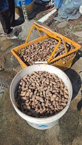 팜모닝 자유주제·자유게시판 게시글 이미지