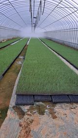 팜모닝 10월 농사 성적 자랑하기·참여글 게시글 이미지