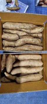 팜모닝 자유주제·자유게시판 게시글 이미지