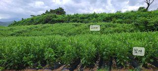 풀잎사랑님의 10월 농사 성적 자랑하기 · 참여글 작성글 사진