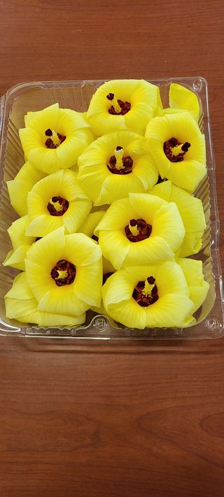 풀잎사랑님의 10월 농사 성적 자랑하기 · 참여글 작성글 사진