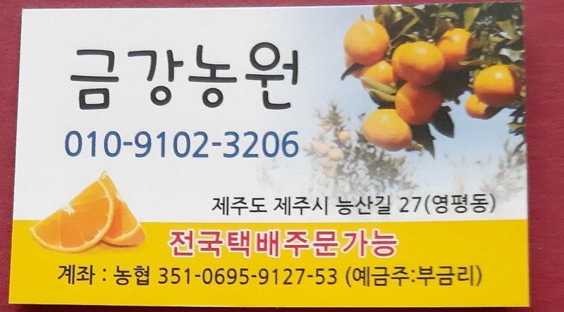 부금리(금강농원)님의 장터 판매 상품 [노지극조생귤 10키로 ] 첨부 사진