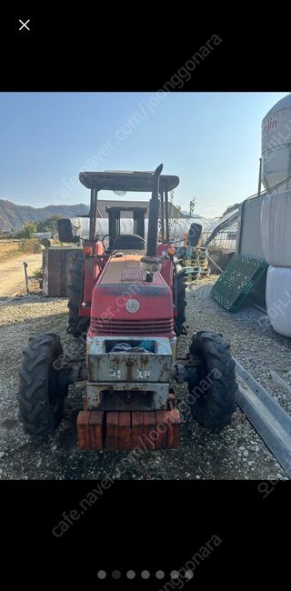 오마니농장님의 작성글 사진