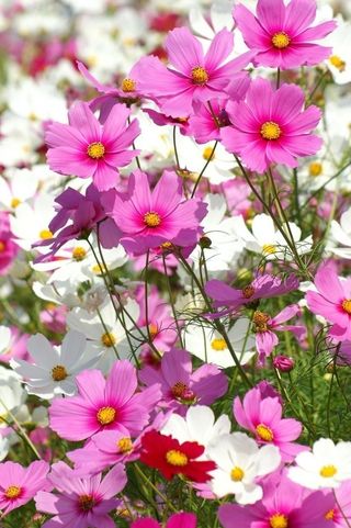 달방구님의 자유주제 · 자유게시판 작성글 사진