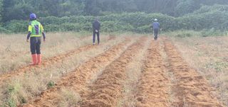 정옥자님의 10월 농사 성적 자랑하기 · 참여글 작성글 사진