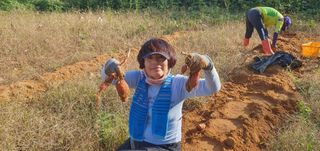 정옥자님의 10월 농사 성적 자랑하기 · 참여글 작성글 사진