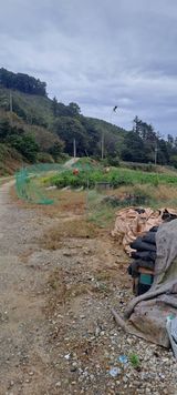 팜모닝 고추·영농일지 게시글 이미지