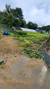 팜모닝 들깨·자유게시판 게시글 이미지