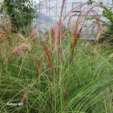 팜모닝 10월 농사 성적 자랑하기·참여글 게시글 이미지