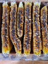 팜모닝 자유주제·자유게시판 게시글 이미지