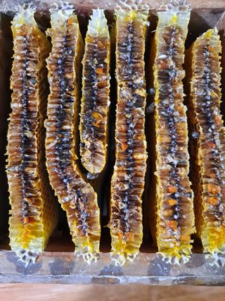 최성희 님의 자유주제 · 자유게시판 작성글 사진