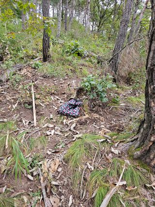 정진필님의 복숭아 · 영농일지 작성글 사진
