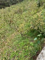 팜모닝 우리동네·동네수다 게시글 이미지