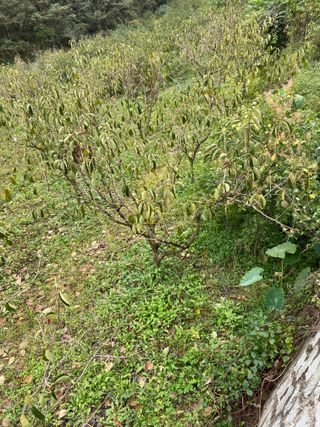 윤종근님의 우리동네 · 동네수다 작성글 사진