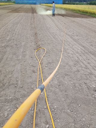 마늘 복숭아윤금자님의 10월 농사 성적 자랑하기 · 참여글 작성글 사진