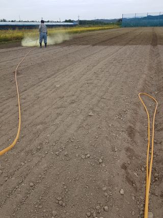마늘 복숭아윤금자님의 10월 농사 성적 자랑하기 · 참여글 작성글 사진