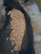 팜모닝 기타작물·영농일지 게시글 이미지