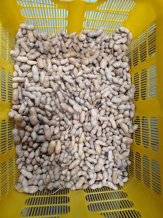 이종선님의 기타작물 · 영농일지 작성글 사진