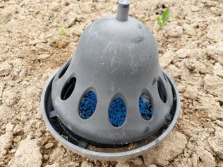 금동이네님의 배추 · 병해충상담 작성글 사진