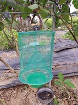 팜모닝 자유주제·자유게시판 게시글 이미지