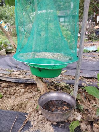 금동이네님의 자유주제 · 자유게시판 작성글 사진