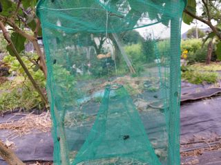 금동이네님의 자유주제 · 자유게시판 작성글 사진