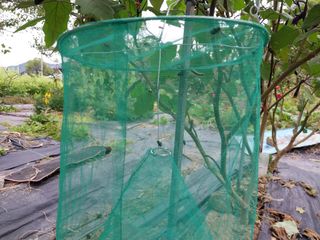 금동이네님의 자유주제 · 자유게시판 작성글 사진