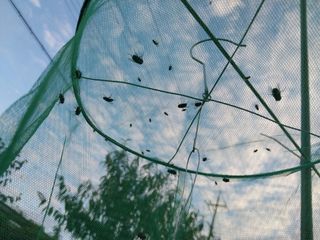 금동이네님의 자유주제 · 자유게시판 작성글 사진