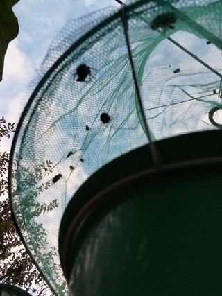 금동이네님의 자유주제 · 자유게시판 작성글 사진