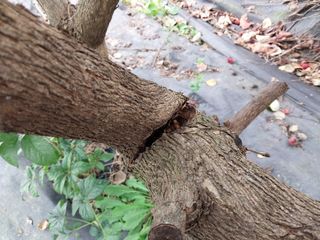 금동이네님의 기타작물 · 자유게시판 작성글 사진