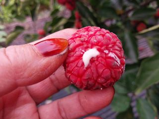 금동이네님의 기타작물 · 자유게시판 작성글 사진