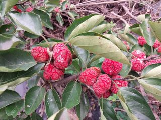 금동이네님의 기타작물 · 자유게시판 작성글 사진