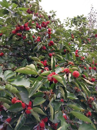 금동이네님의 기타작물 · 자유게시판 작성글 사진