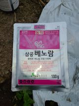 팜모닝 마늘·영농일지 게시글 이미지