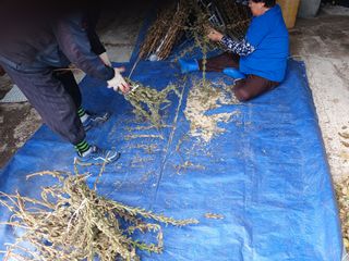 알 수 없음님의 우리동네 · 동네수다 작성글 사진