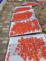 팜모닝 10월 농사 성적 자랑하기·참여글 게시글 이미지