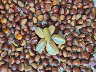 자연같이님의 기타작물 · 자유게시판 작성글 사진