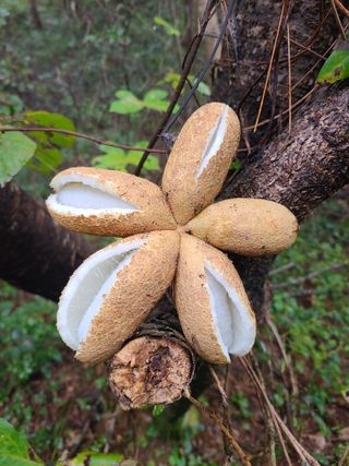 자연같이님의 기타작물 · 자유게시판 작성글 사진