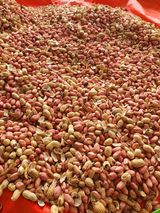 팜모닝 10월 농사 성적 자랑하기·참여글 게시글 이미지