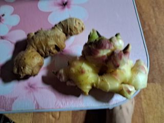 박준성 강님의 기타작물 · 영농일지 작성글 사진