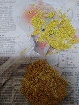 팜모닝 자유주제·자유게시판 게시글 이미지