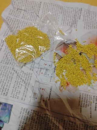 김수정님의 자유주제 · 자유게시판 작성글 사진