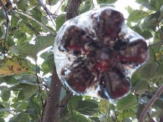 금동이네님의 자유주제 · 건의해요 작성글 사진