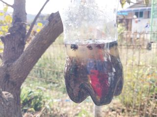 금동이네님의 자유주제 · 건의해요 작성글 사진